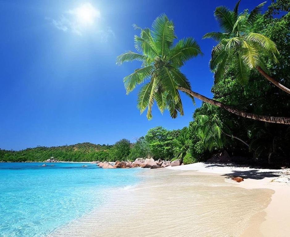 Siesta Key Waterfront Home, Siesta Key (updated prices 2025)