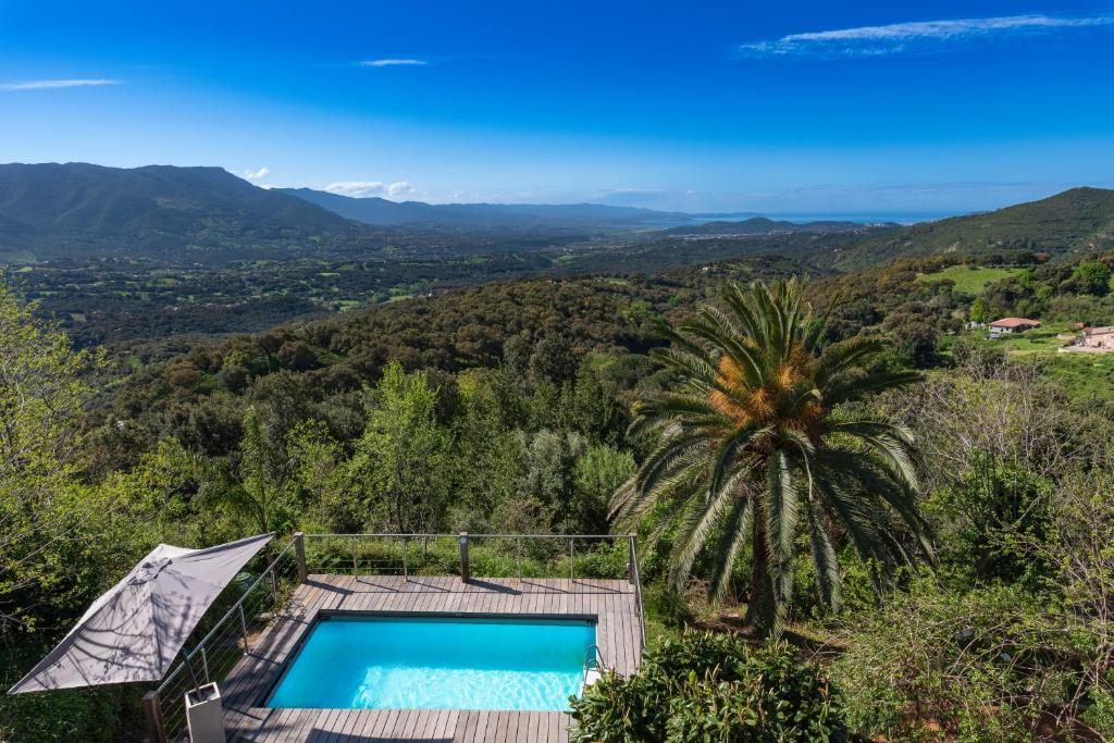 a swimming pool with a palm tree and mountains in the background at Alta Vista , villa avec piscine privée et vue exceptionnelle près d'Ajaccio in Sarrola-Carcopino
