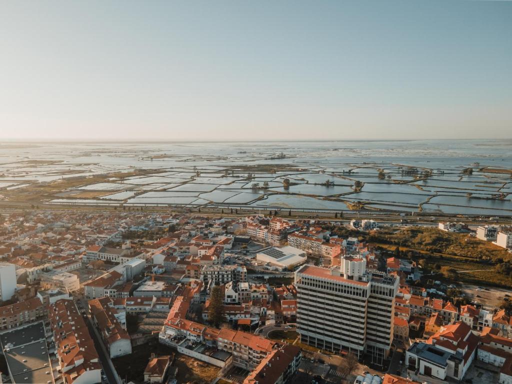 Avenida Concept Studios - 12