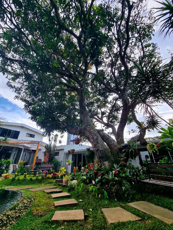 Zahrada ubytování Casa Jardin del Mango