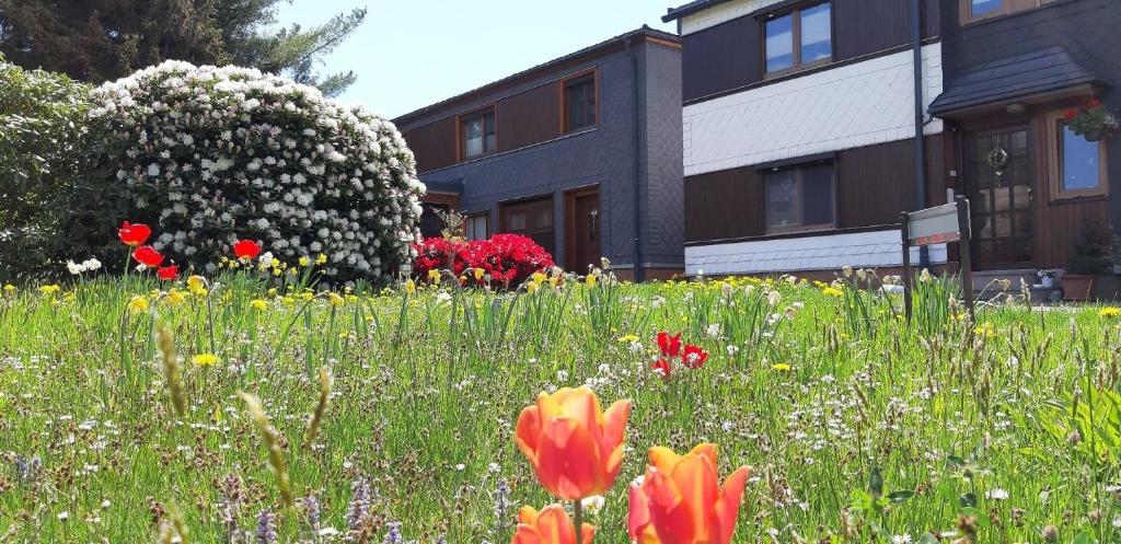 un campo de flores frente a un edificio en Ferienwohnung mit Gartenterrasse in der Nähe vieler Wanderwege und Ausflugsziele en Schwarzatal