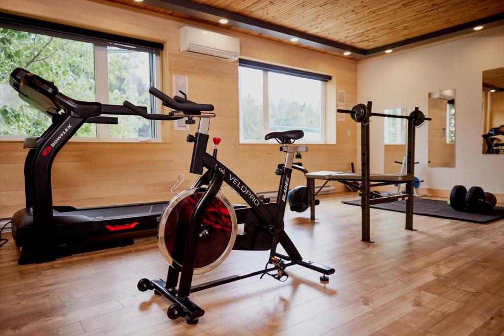 Fitness centrum a/nebo fitness zařízení v ubytování Hotel de l'Horizon