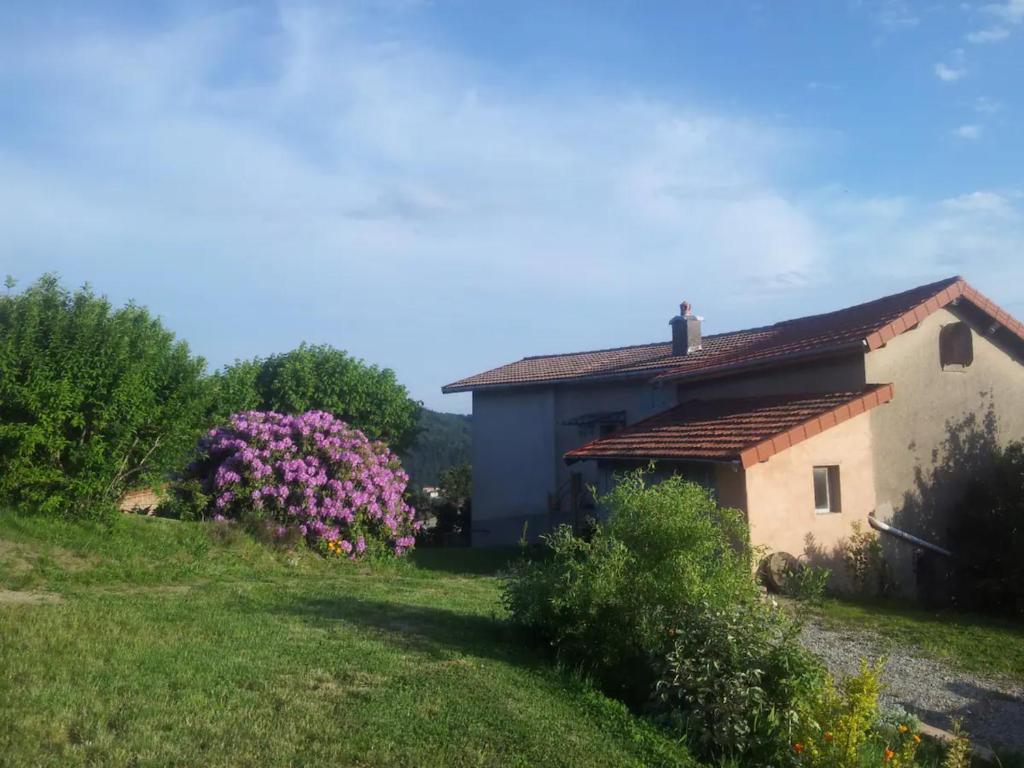 Κήπος έξω από το Les Hauts de Thiers