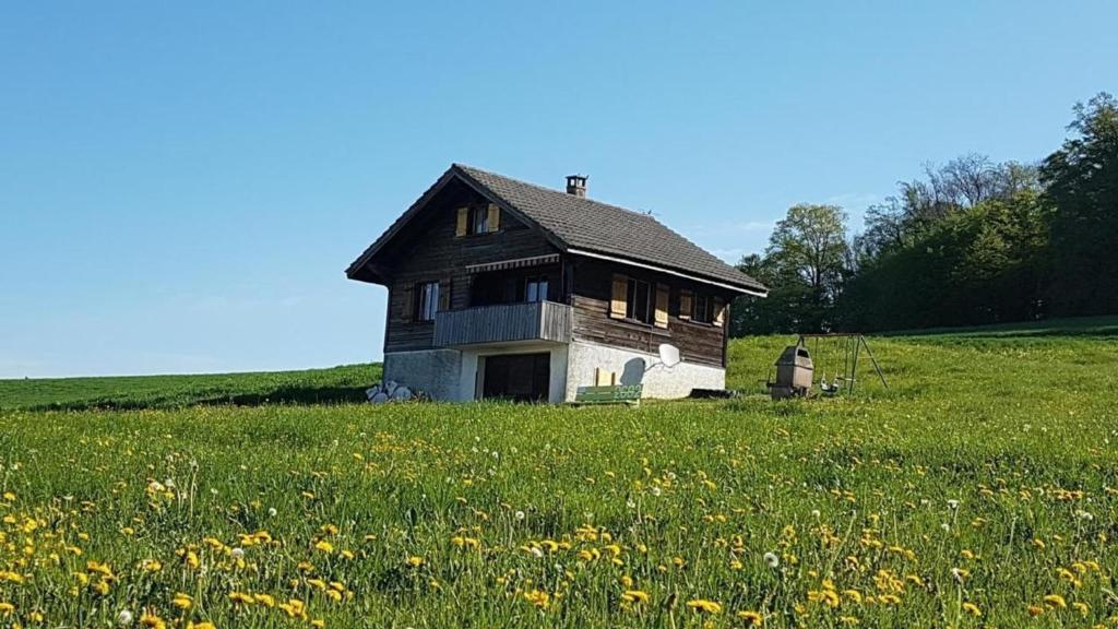 een oud huis midden in een bloemenveld bij Staufenhof - b48543 in Maisprach