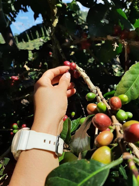 Fotografie z fotogalerie ubytování Alojamiento Rural Jardín Consentido v destinaci Jardin