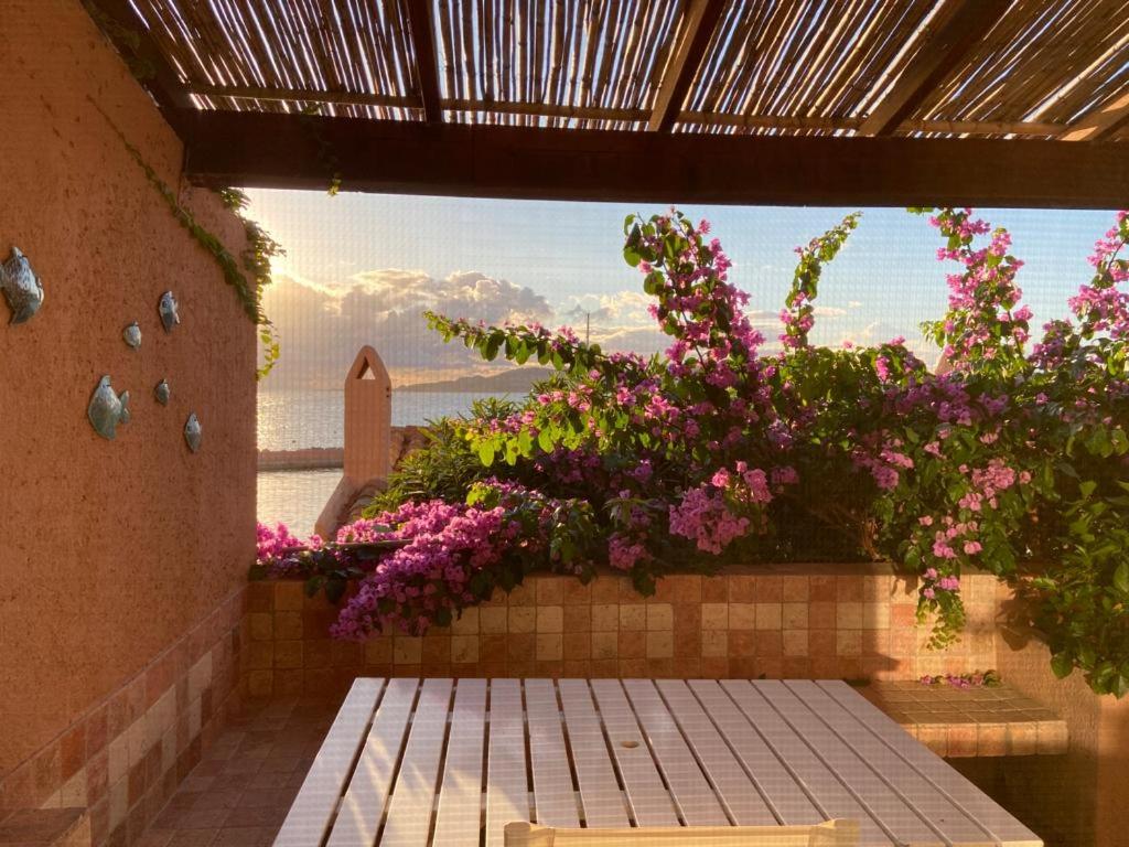 a view from a patio with flowers and a bench at PGS IMMOBILIARE SRLS – Pagello D – Trilocale vista mare– La Maddalena in Casale Azara