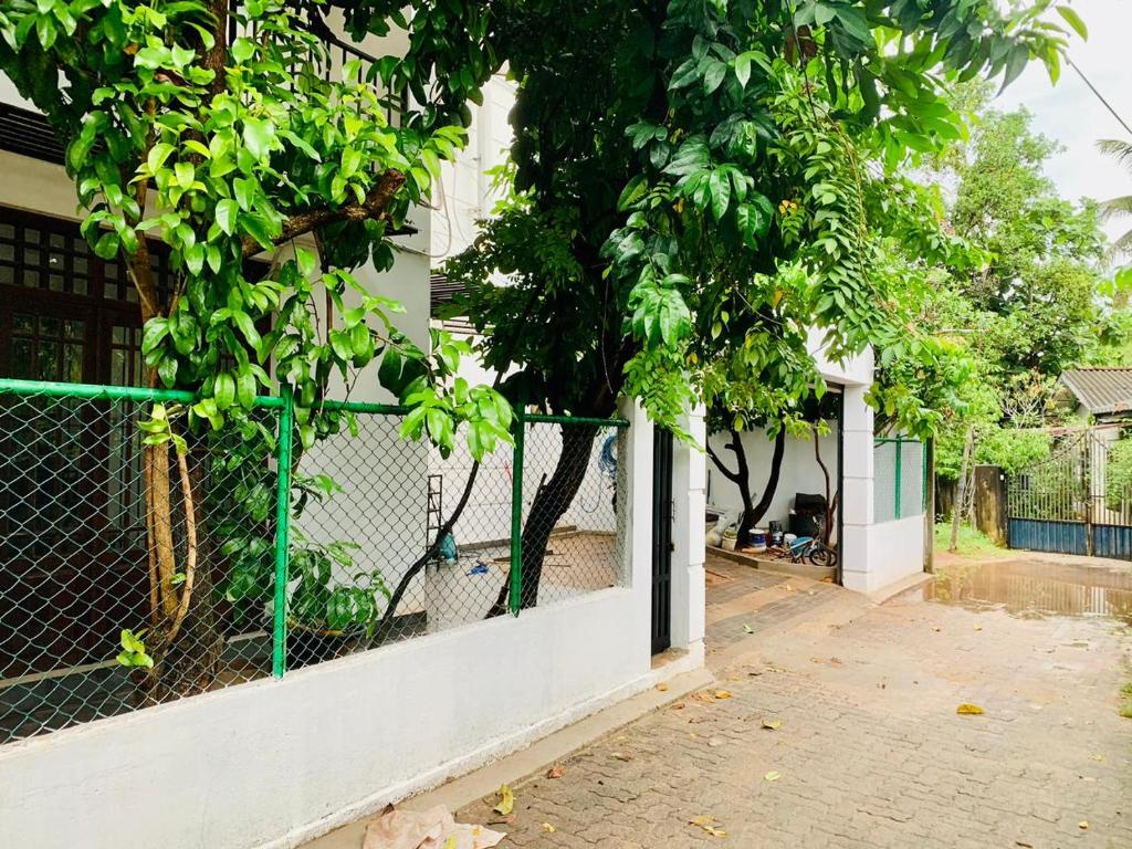 a fence in front of a house with trees at Privet Home Stay in Wattala