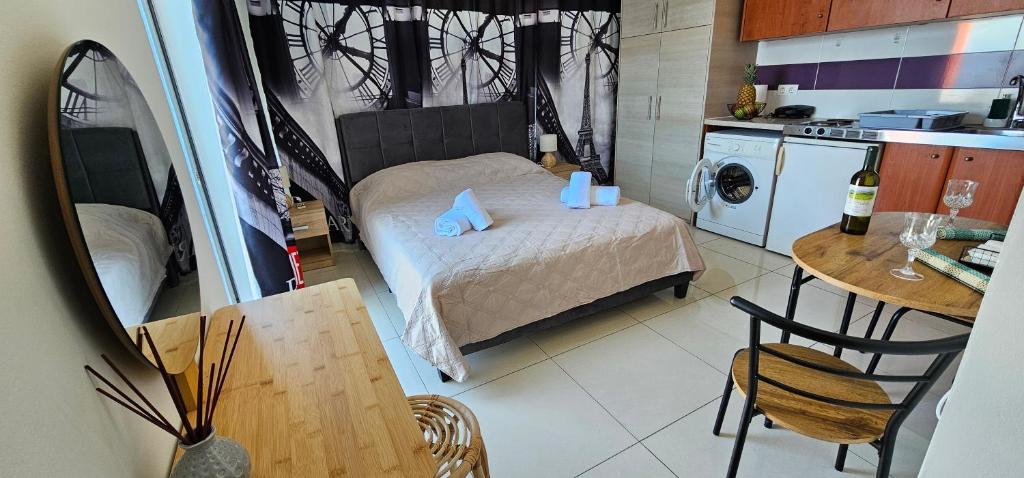 Kuchyň nebo kuchyňský kout v ubytování Primordial Apartment
