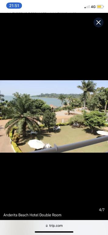 Una imagen de una habitación doble con techo de playa y árboles en Global Connect Prop en Entebbe