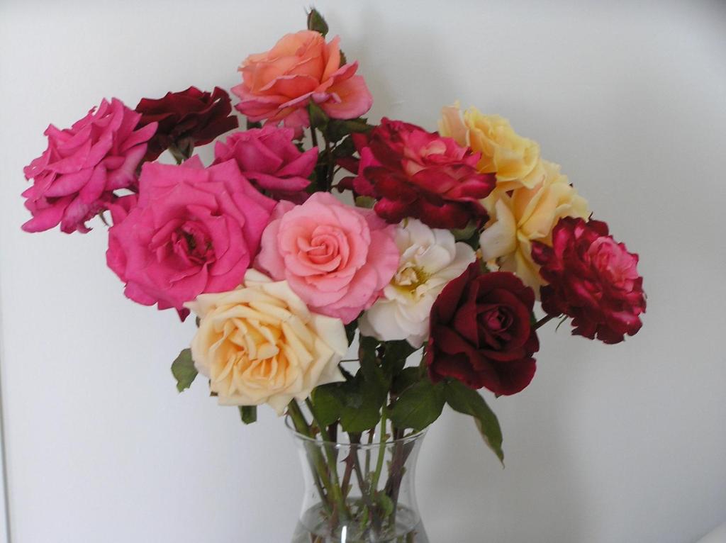 Auldington Hotel - Resim 31