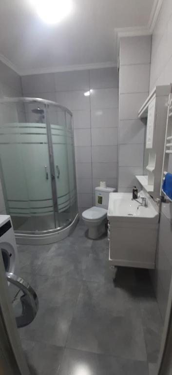 La salle de bains est pourvue d'une douche, de toilettes et d'un lavabo. dans l'établissement Apartment House for Rent, à Koutaïssi