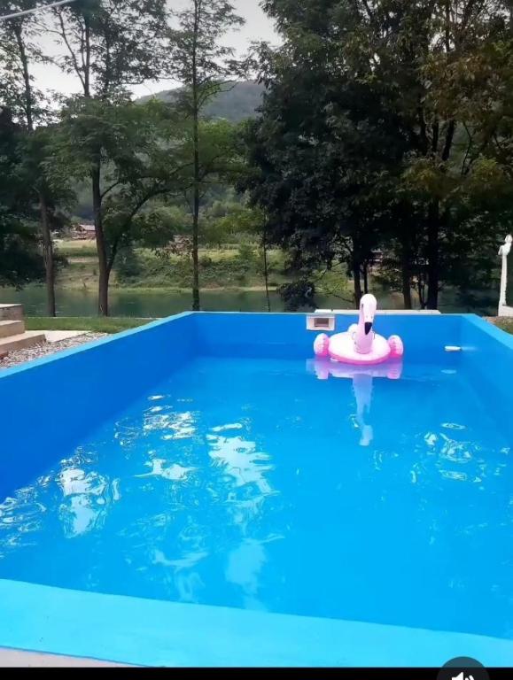 Bazén v ubytování Drinska Dama nebo v jeho okolí