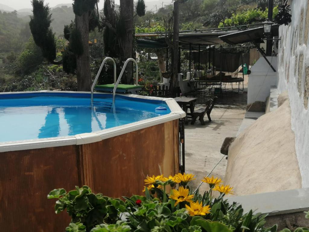 una piscina en un jardín con flores en La Morisca en Vega de San Mateo