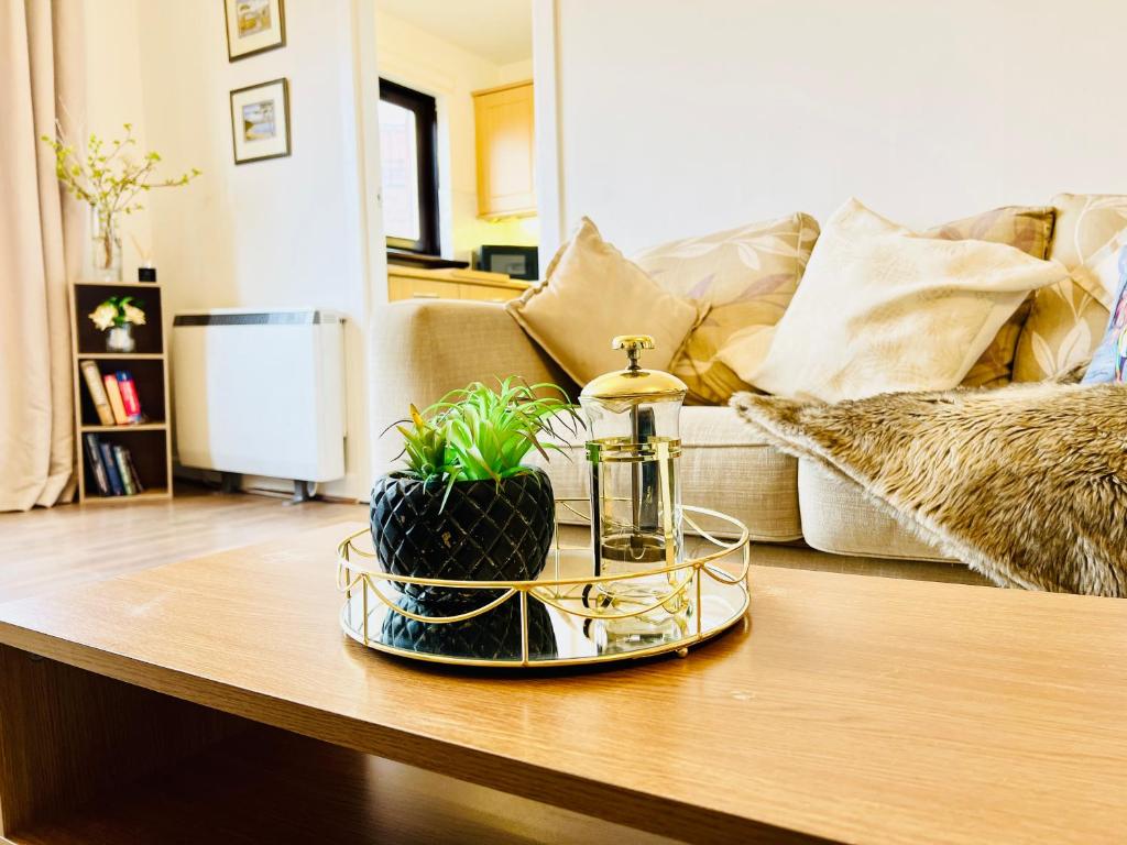 a coffee table with a tray with a plant on it at Beautiful & Spacious 2-Bed Flat in City Centre with Free Parking in Glasgow