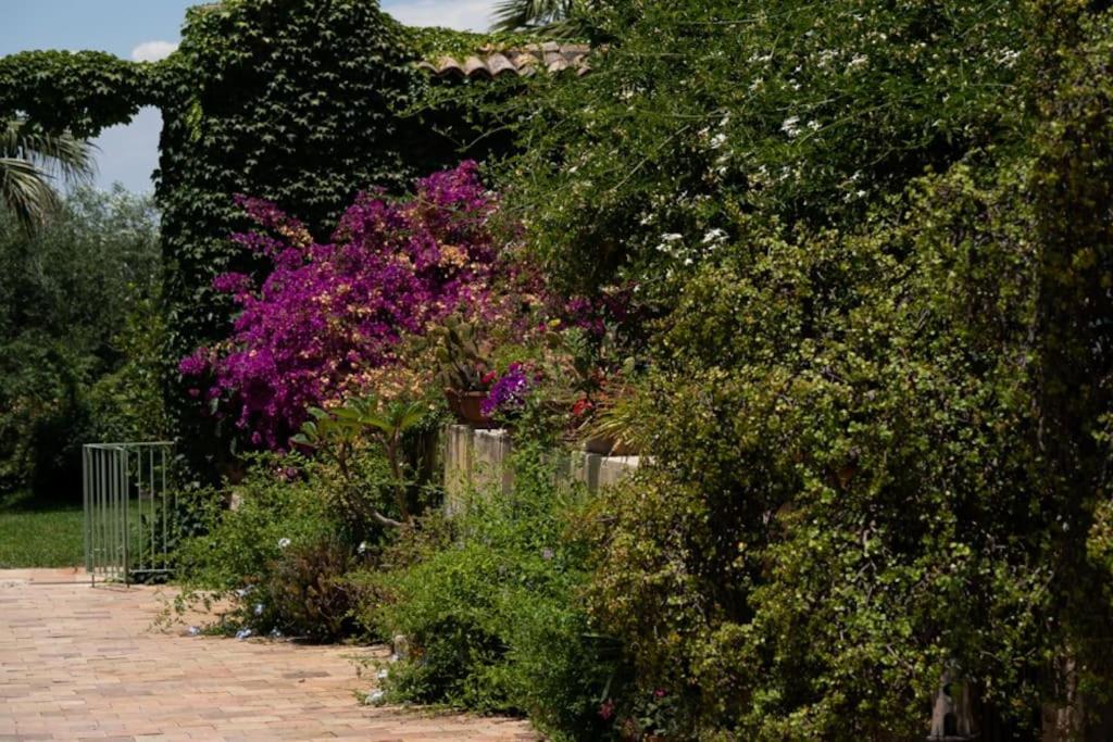 Zahrada ubytování Agriturismo Pietre di Gelo