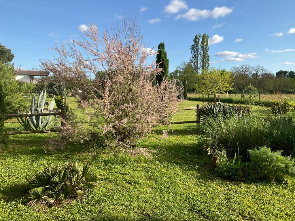 Maison Dulcis - Double Room With Garden View