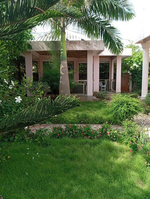 ein Haus mit einer Palme im Hof in der Unterkunft Villa DADO PLAGE in Cotonou