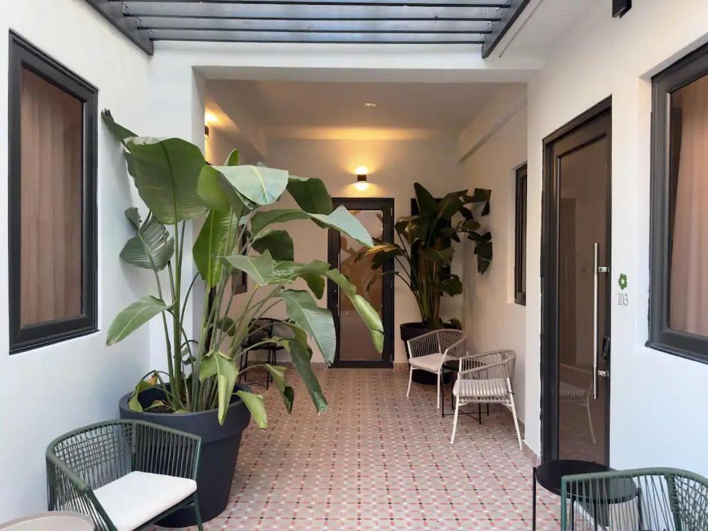 Zahrada ubytování Patio Elba Boutique Hotel