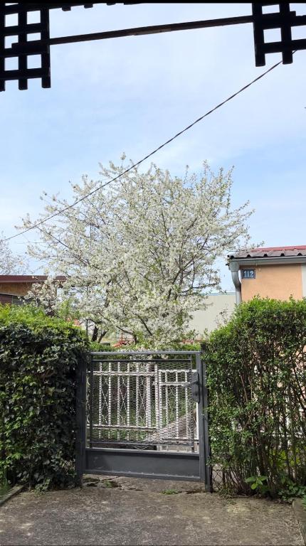 Zahrada ubytování Villa Lenka Sokobanja