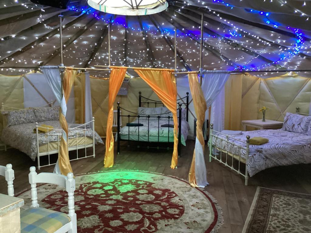 um quarto com duas camas e um tecto com luzes em Vigo Retreat Yurt em Wrotham