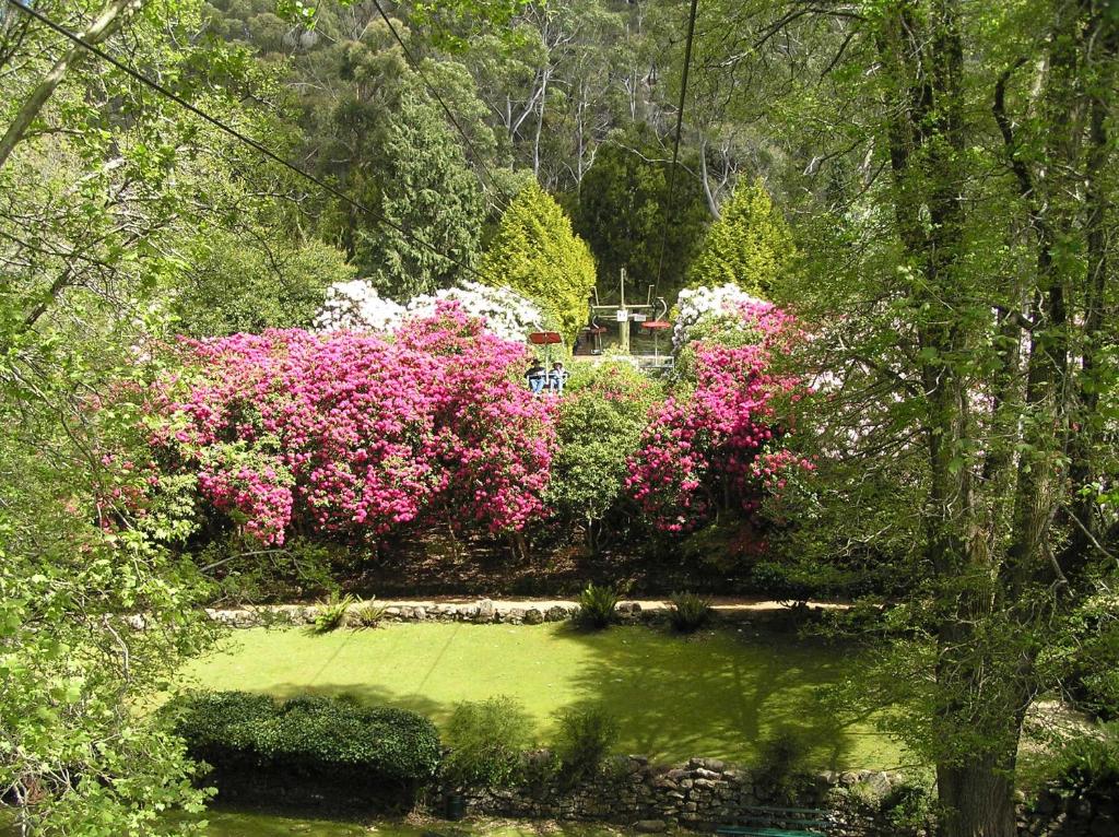 Auldington Hotel - Resim 24