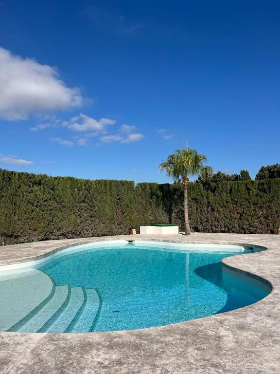 a swimming pool with a palm tree in the background at Villa Elche in Elche