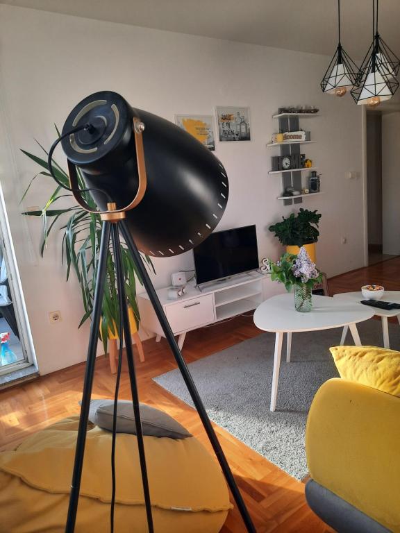 a black hat on a tripod in a living room at Apartman M&S in Lukavica