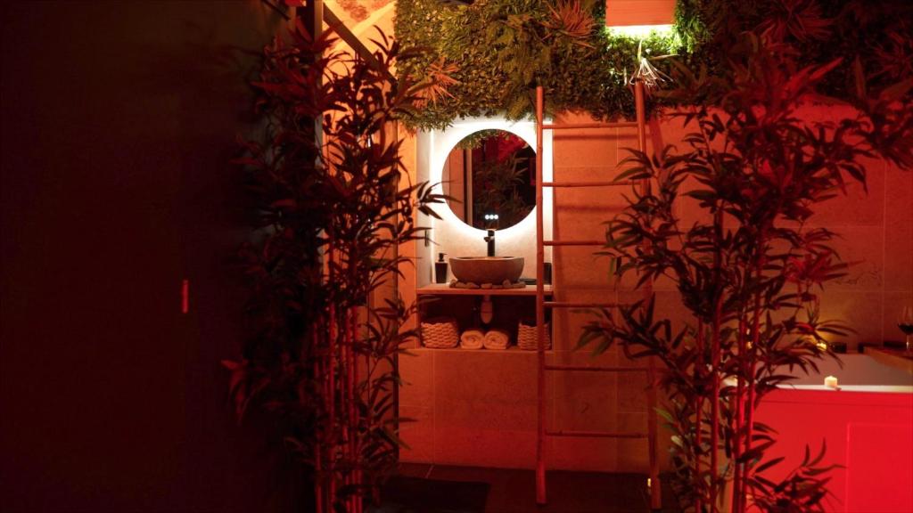 a bathroom with a sink and a mirror and plants at Hébergement insolite, Night Secret Groot in Millau