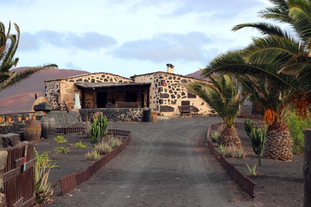 a stone house with palm trees in front of it at Casa Rural Vega de Timanfaya in Uga