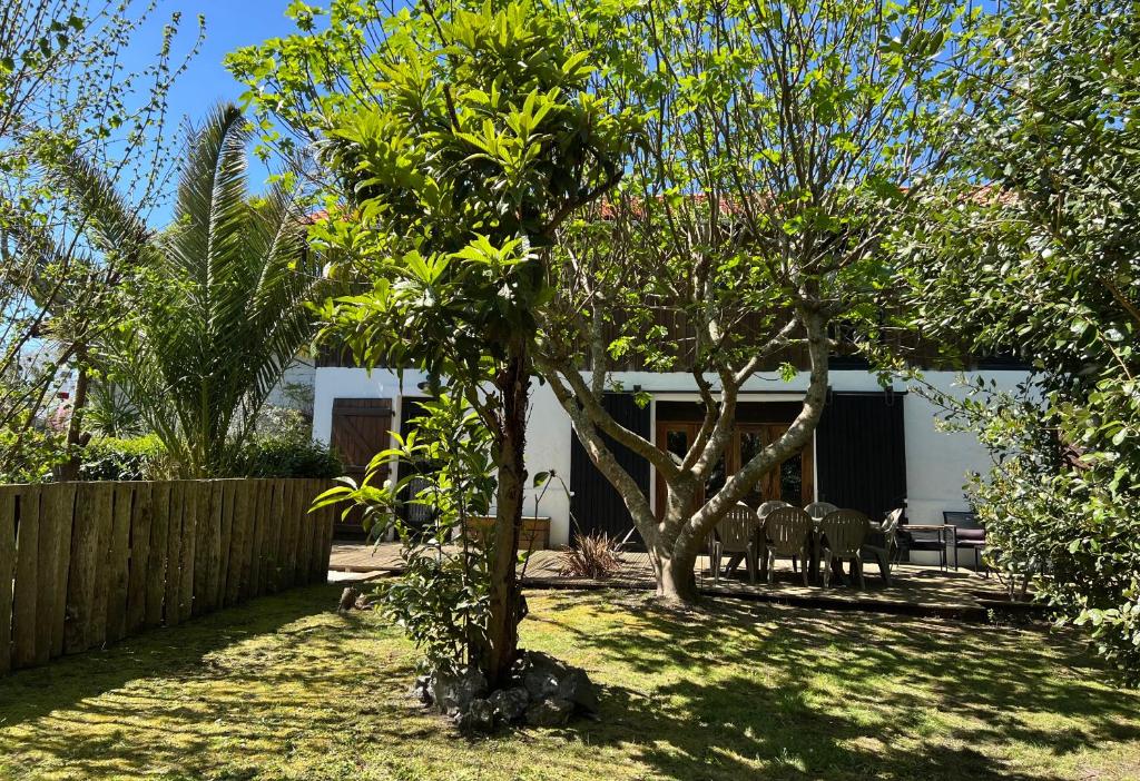 un cortile con due alberi e sedie sull'erba di Grand gîte Gastes a Gastes