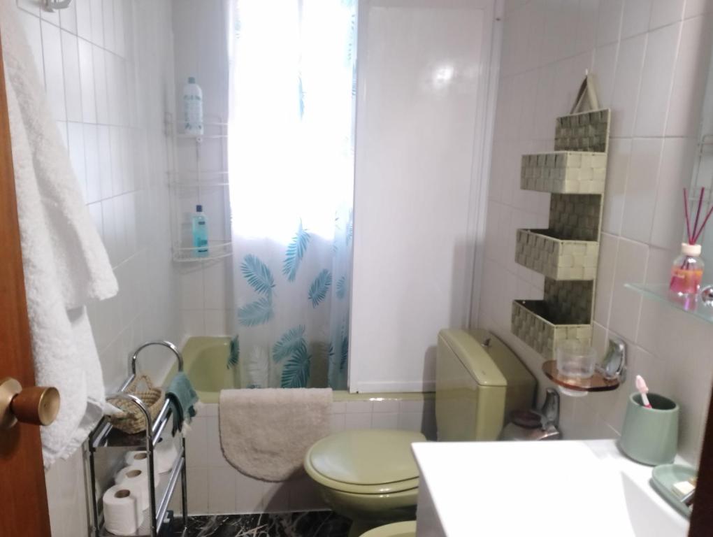 La salle de bains est pourvue d'une douche et de toilettes vertes. dans l'établissement Casa Refugio Entre Pinos y Romeros, à Mogente