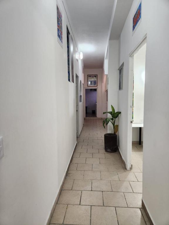 Fotografie z fotogalerie ubytování Alexandross v destinaci Puerto Vallarta