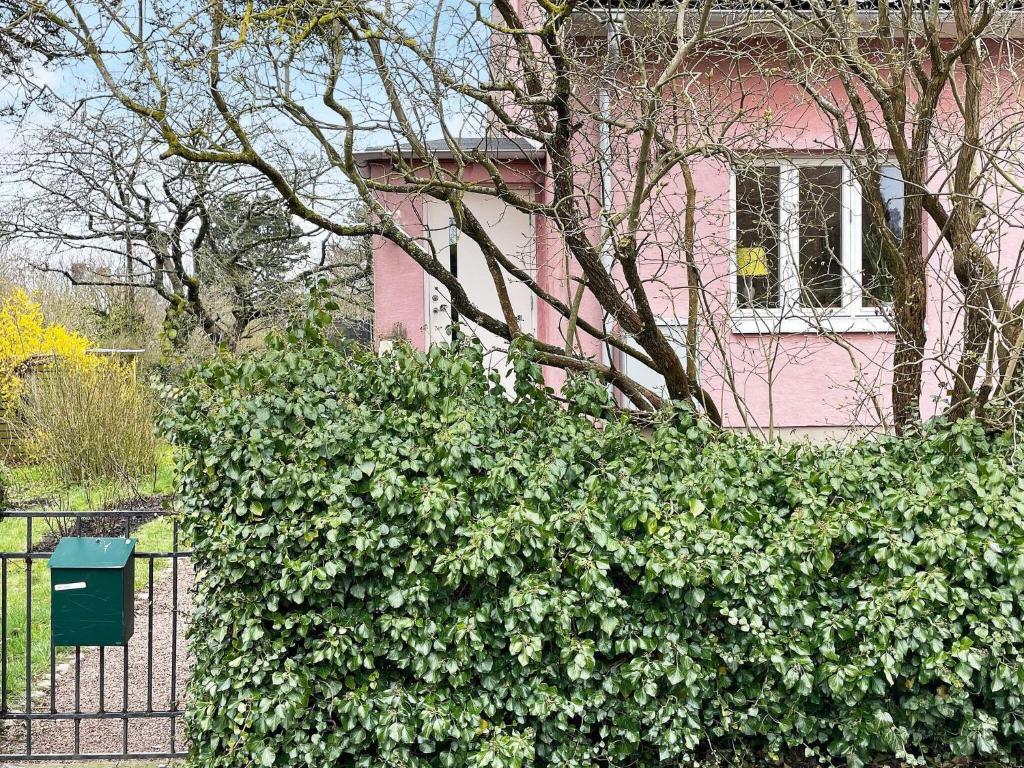 a pink house with a bush in front of a fence at Holiday home HÖGANÄS in Höganäs