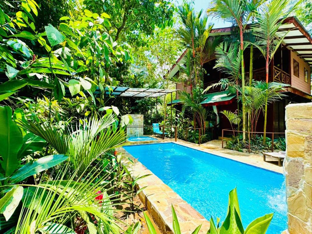 una piscina en medio de un jardín en Casa Elita - Tranquil Escape with Pool, Jacuzzi, AC en Puerto Viejo