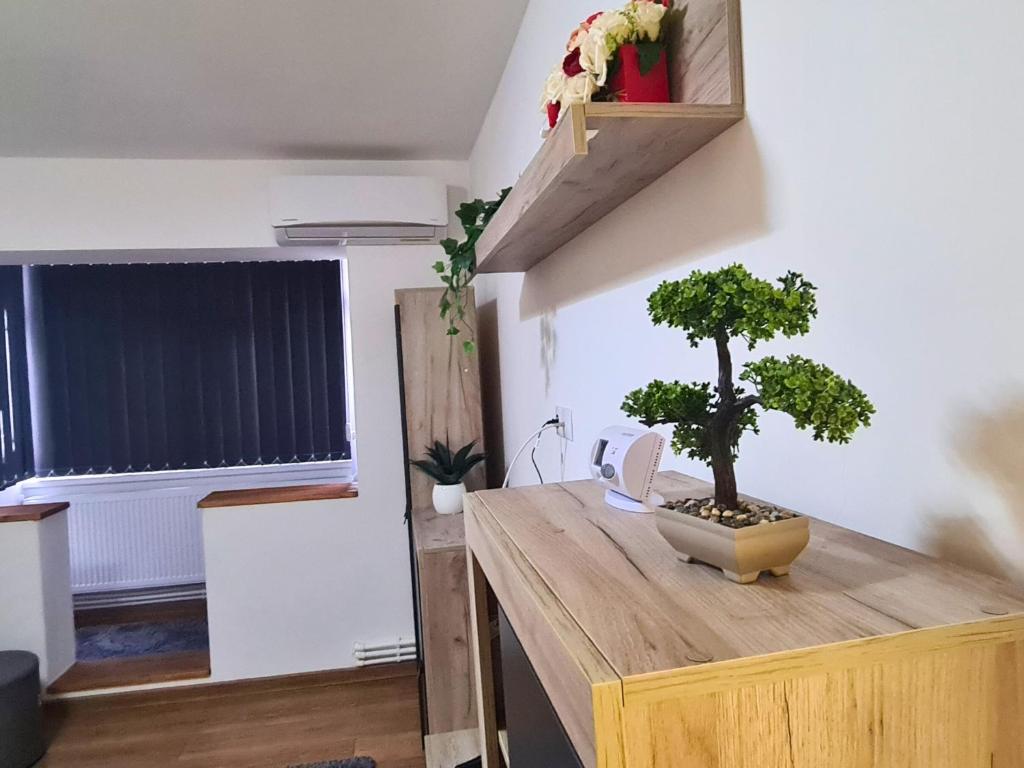 um quarto com uma mesa de madeira com uma árvore em Cozy Apartment- zona centrala em Bacau