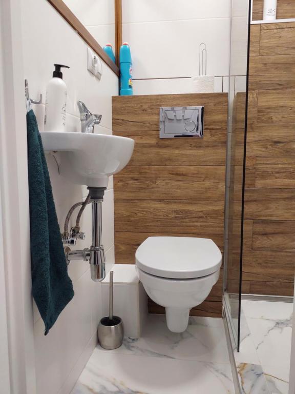 Koupelna v ubytování APARTAMENT NAD SANEM
