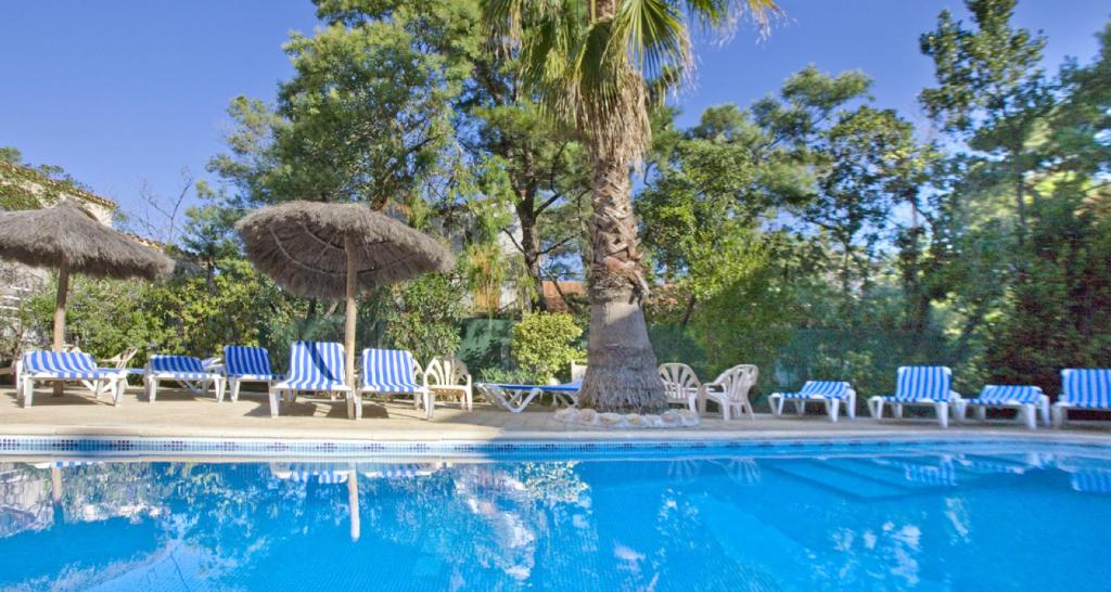 een groep stoelen en parasols naast een zwembad bij Hôtel Le Maritime in Argelès-sur-Mer