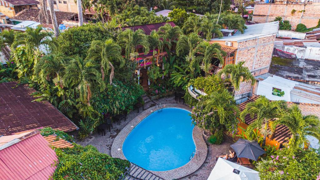 an overhead view of a swimming pool with palm trees at La Patarashca in Tarapoto