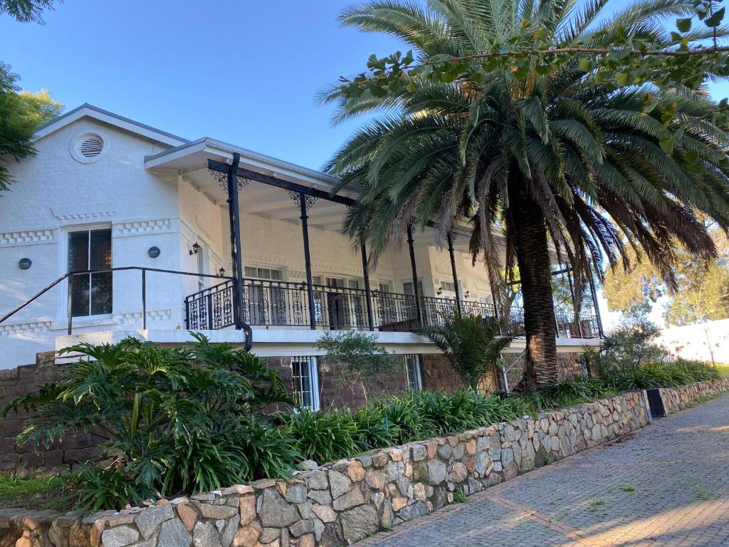 a house with a palm tree and a stone wall at Villa on Main in Antwerp