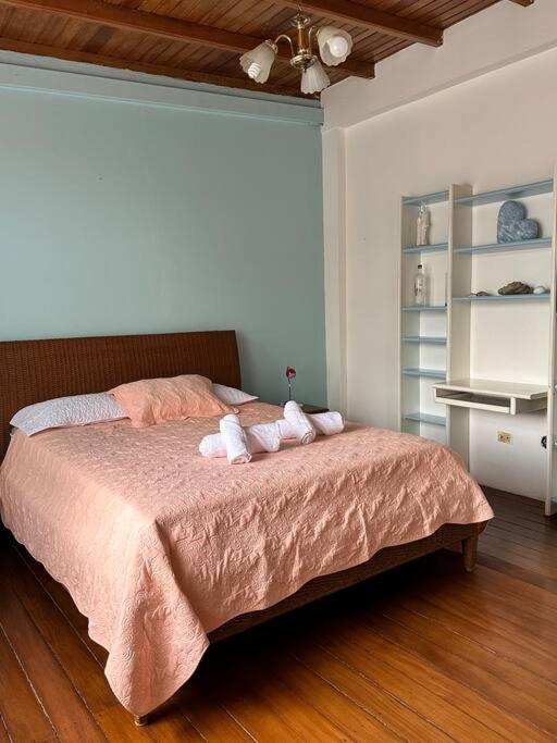 a bedroom with a bed with two pillows on it at Casa Comoda Centrica con Garage in Puyo