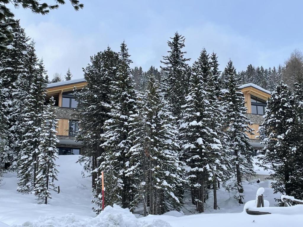 Vista Lodge durante o inverno