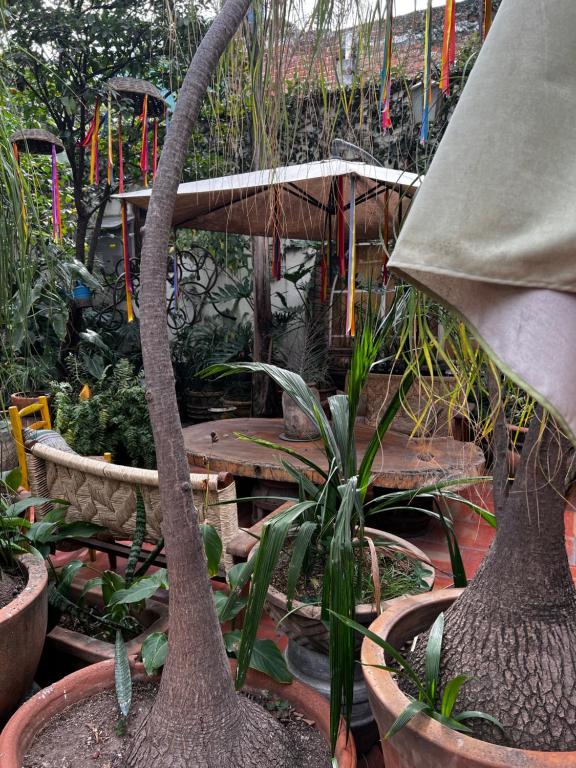 Zahrada ubytování Casa Tlaquepaque