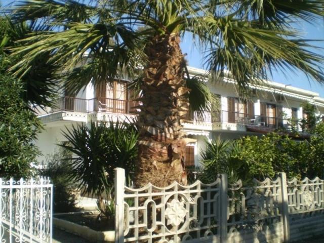 una palmera frente a una casa con una valla blanca en Hotel Apolafsi, en Volos