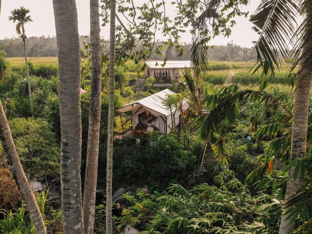 a house in the middle of a field with palm trees at Camani Glamping in Karangasem