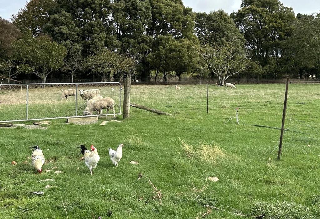 Country Retreats on Ranzau 3 - Resim 20