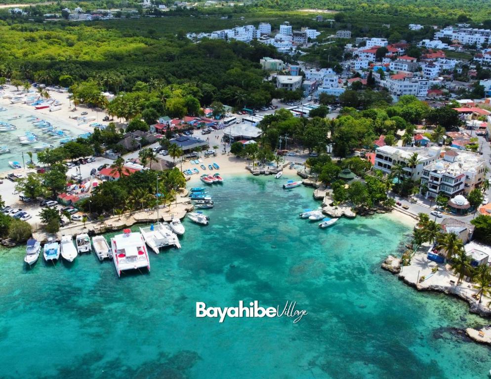 z powietrza widok na plażę z łodziami w wodzie w obiekcie Bayahibe Village Inn w mieście Bayahibe