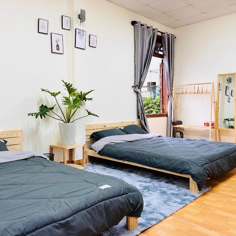 Giường trong phòng chung tại May House Dalat