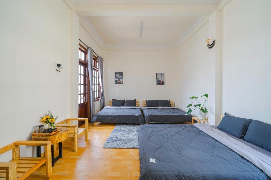 Giường trong phòng chung tại May House Dalat