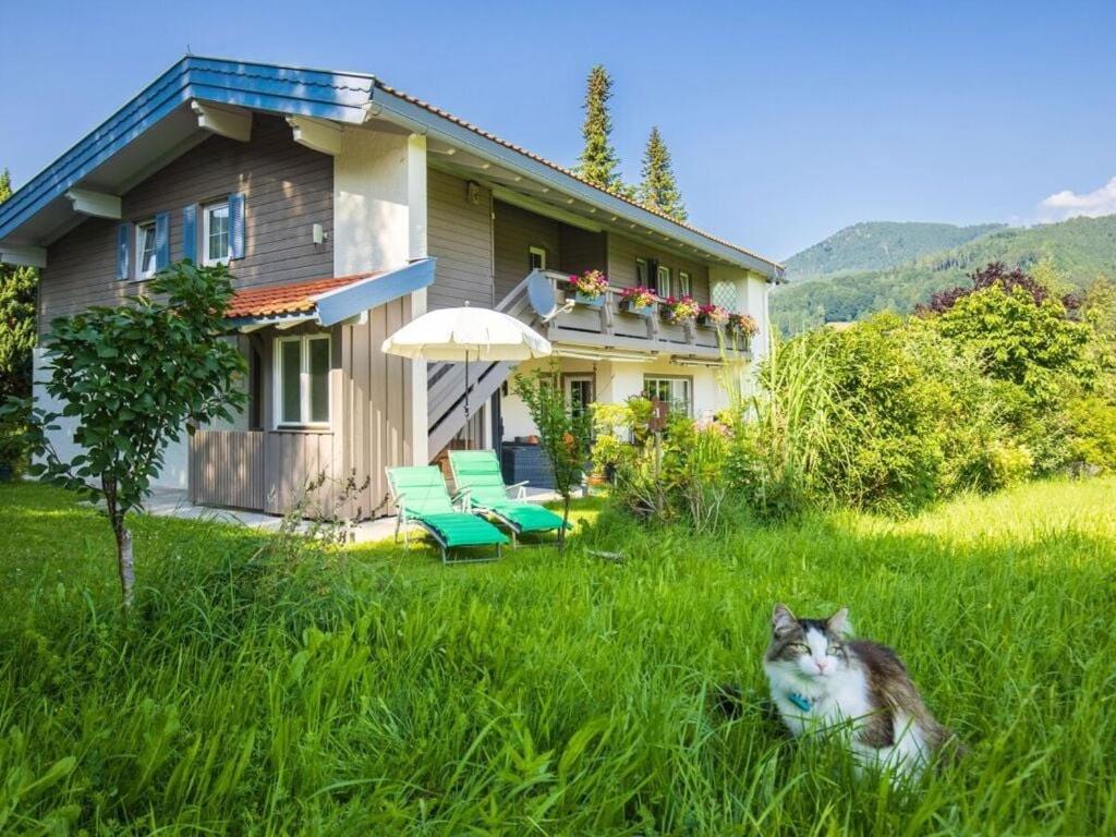 a cat laying in the grass in front of a house at Hörndlwand Ruhpolding in Ruhpolding