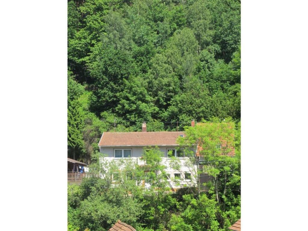 una casa blanca en medio de un bosque en chez Emil and Isabelle, en Rumbach